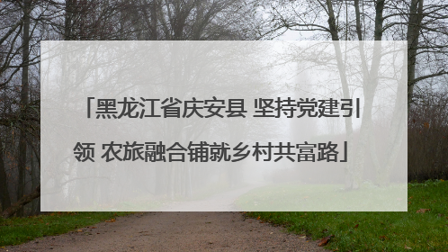 黑龙江省庆安县 坚持党建引领 农旅融合铺就乡村共富路